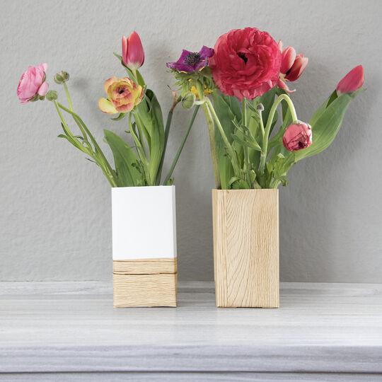 Klebefolie Sanremo Eiche sand image number null